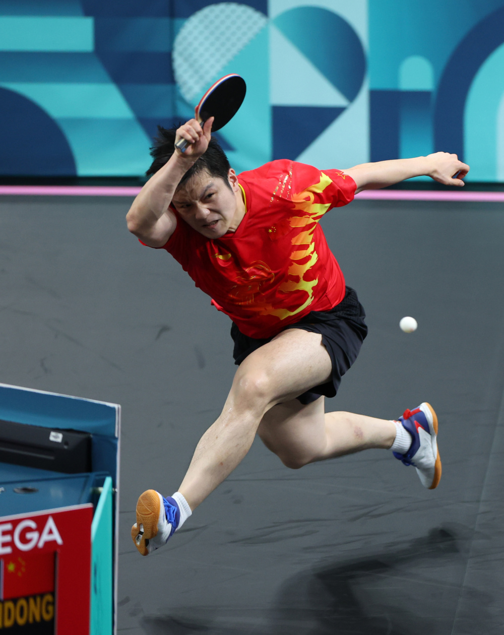 关于奥地利乒乓球队血洗比利时乒乓球队,樊振东高光表现的信息 关于奥地利乒乓球队血洗比利时乒乓球队,樊振东高光表现的信息