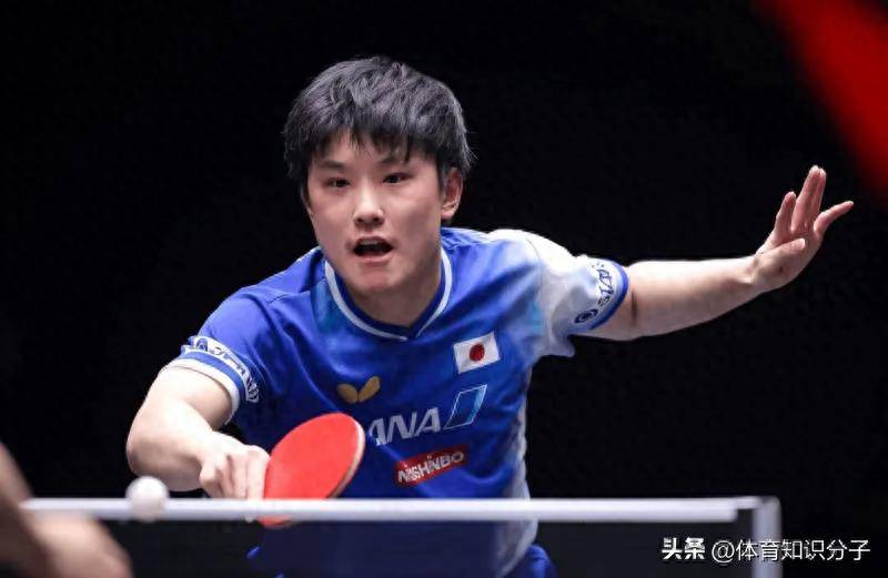 开云体育登录-包含波兰乒乓球队翻盘中国乒乓球队，张本智和关键制胜的词条
