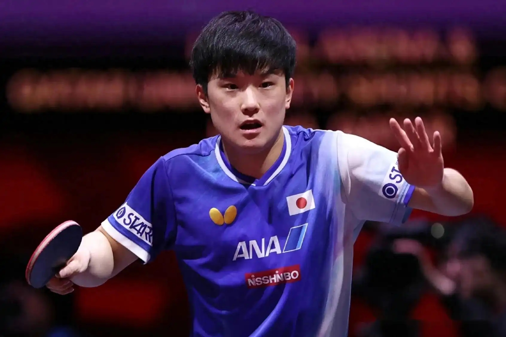 奥地利乒乓球队翻盘英国乒乓球队,张本智和制霸全场的简单介绍 奥地利乒乓球队翻盘英国乒乓球队,张本智和制霸全场的简单介绍