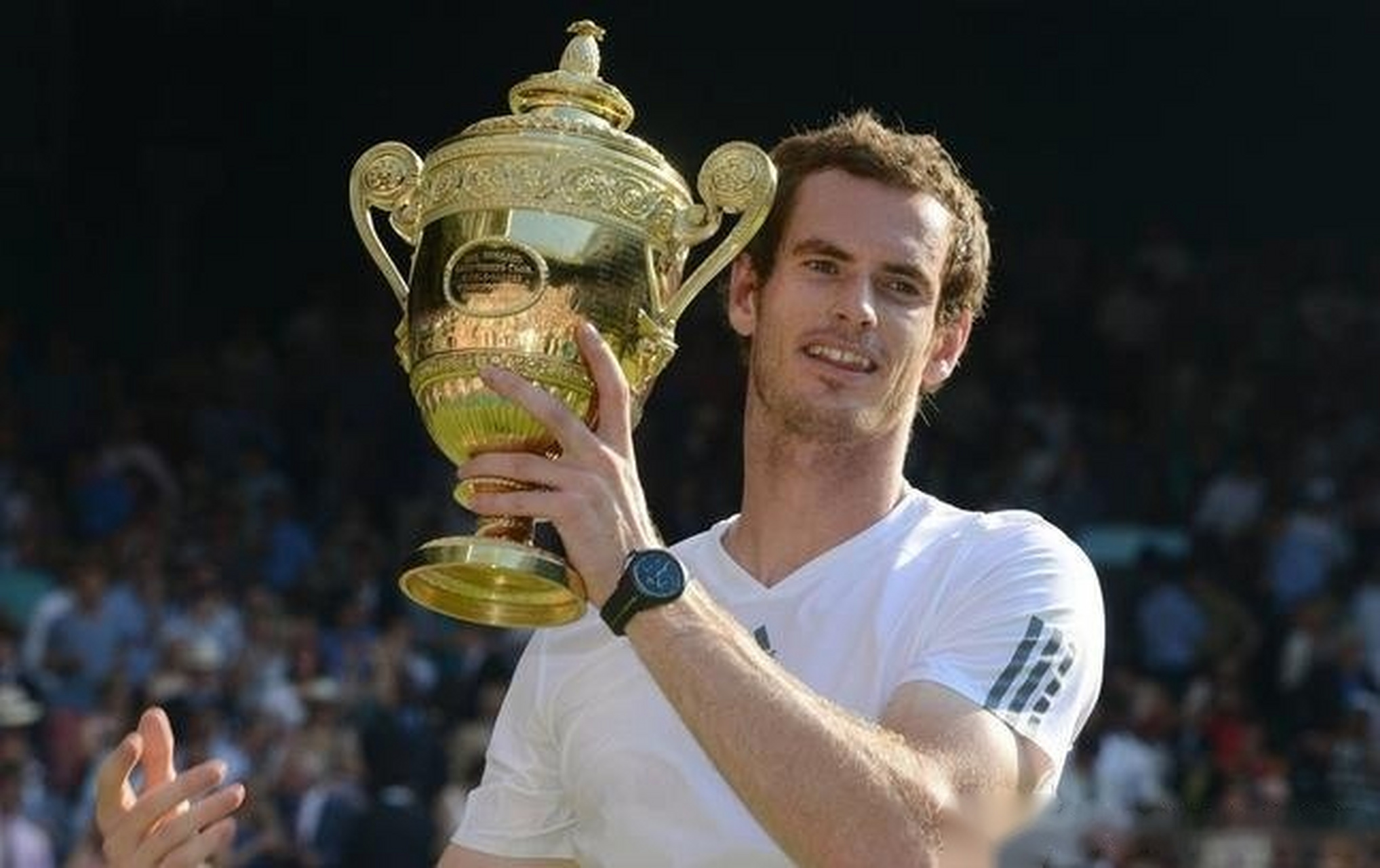 关于美网力克澳网,穆雷惊艳四座的信息 关于美网力克澳网,穆雷惊艳四座的信息