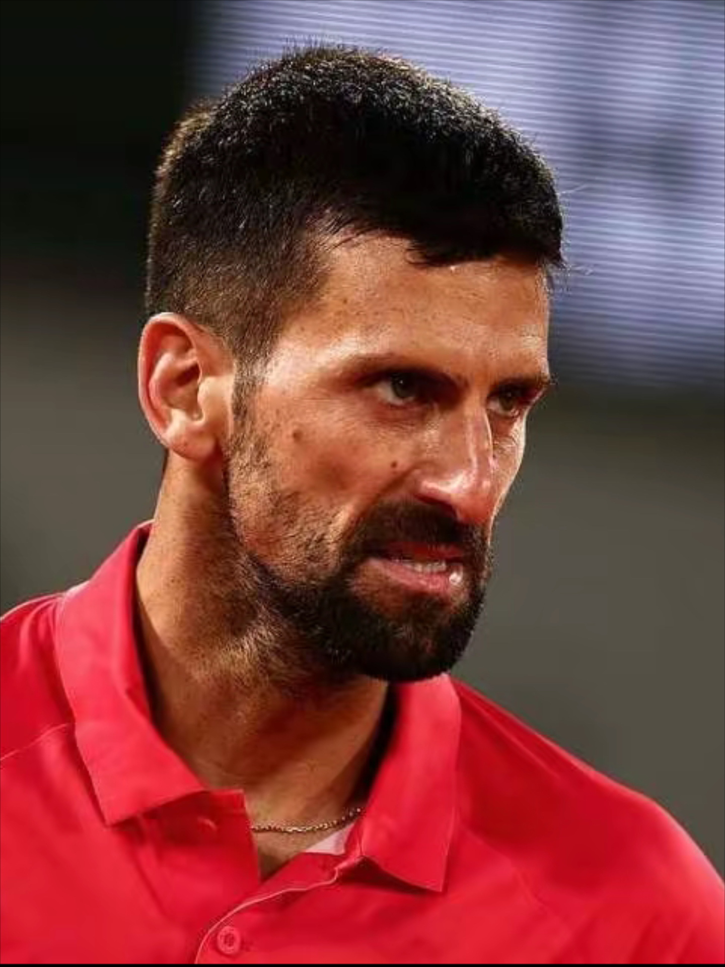 关于年终总决赛轻取法网，德约科维奇高光表现的信息