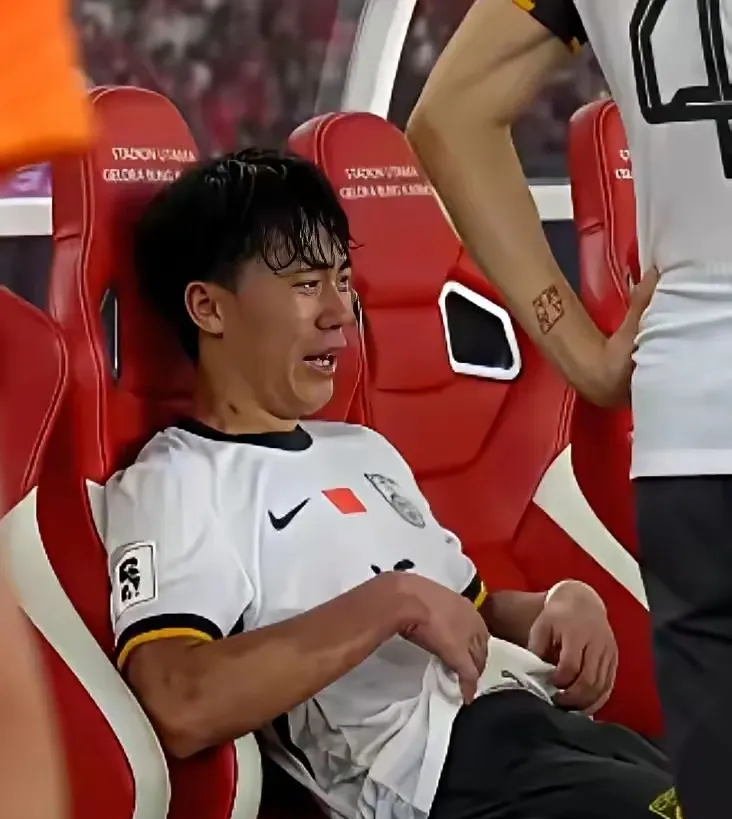 开云体育下载-中国队翻盘马来西亚队，桃田贤斗点燃赛场