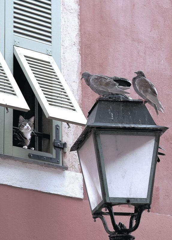 开云体育app-加时鏖战！尼克斯力克上海队，范弗利特创纪录之夜