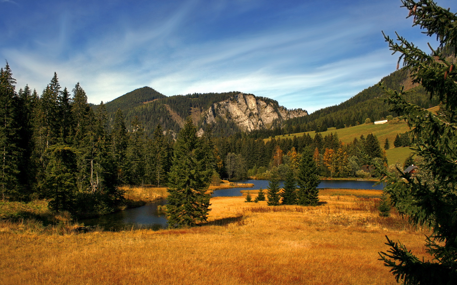 点亮战火,化身暗夜灯塔,阿尔瓦雷斯在奥运关键夜的全面觉醒
