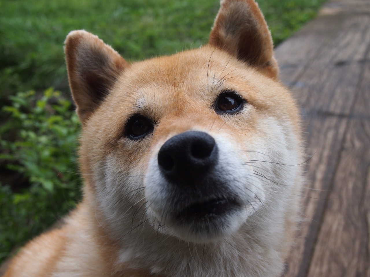 开云体育中国-扼杀、救赎与手术刀，拉文如何在最后七秒改写命运