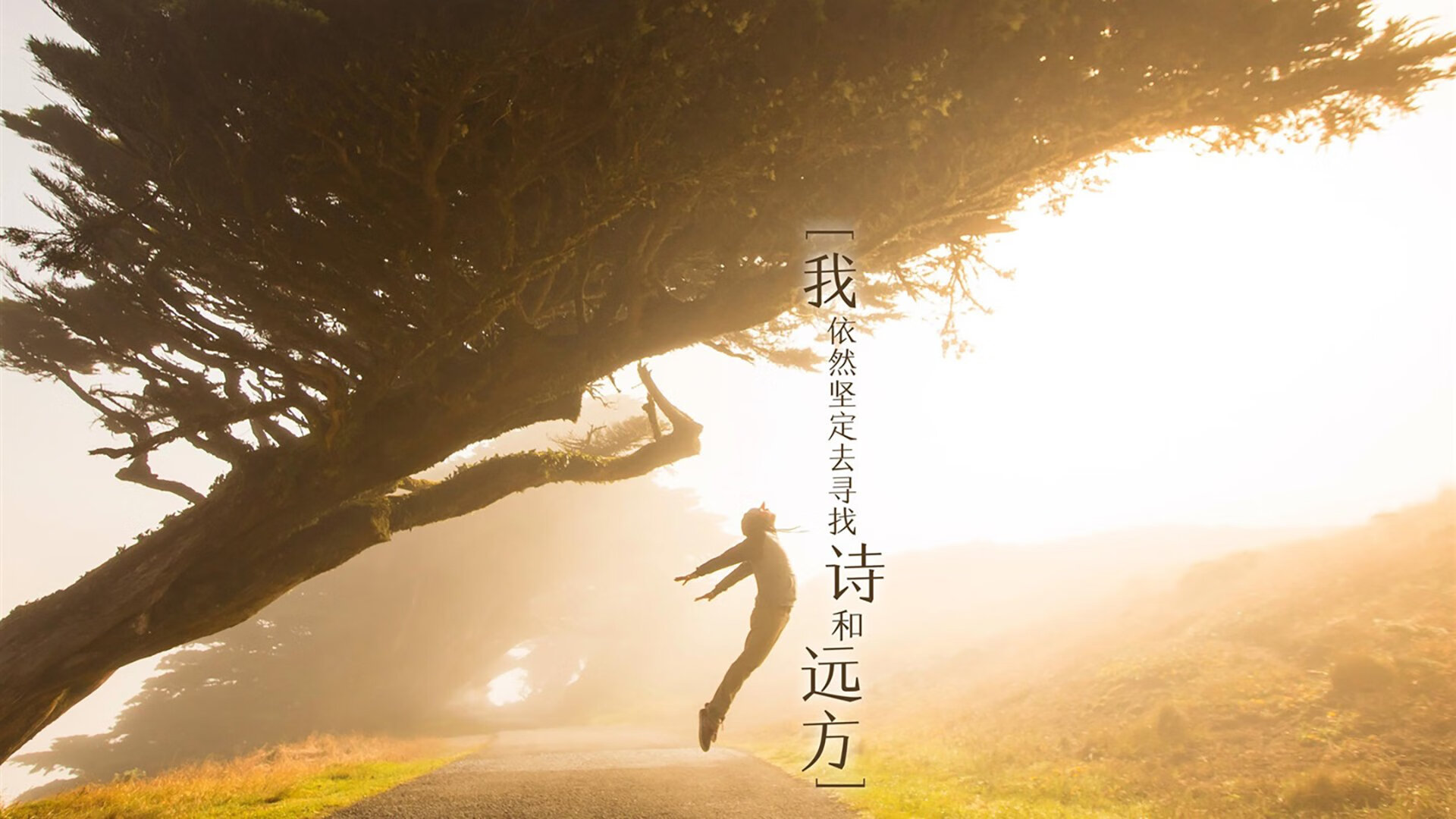 开云平台-当东方明珠遇上密西西比河，欧文致命三分背后的篮球文明对话