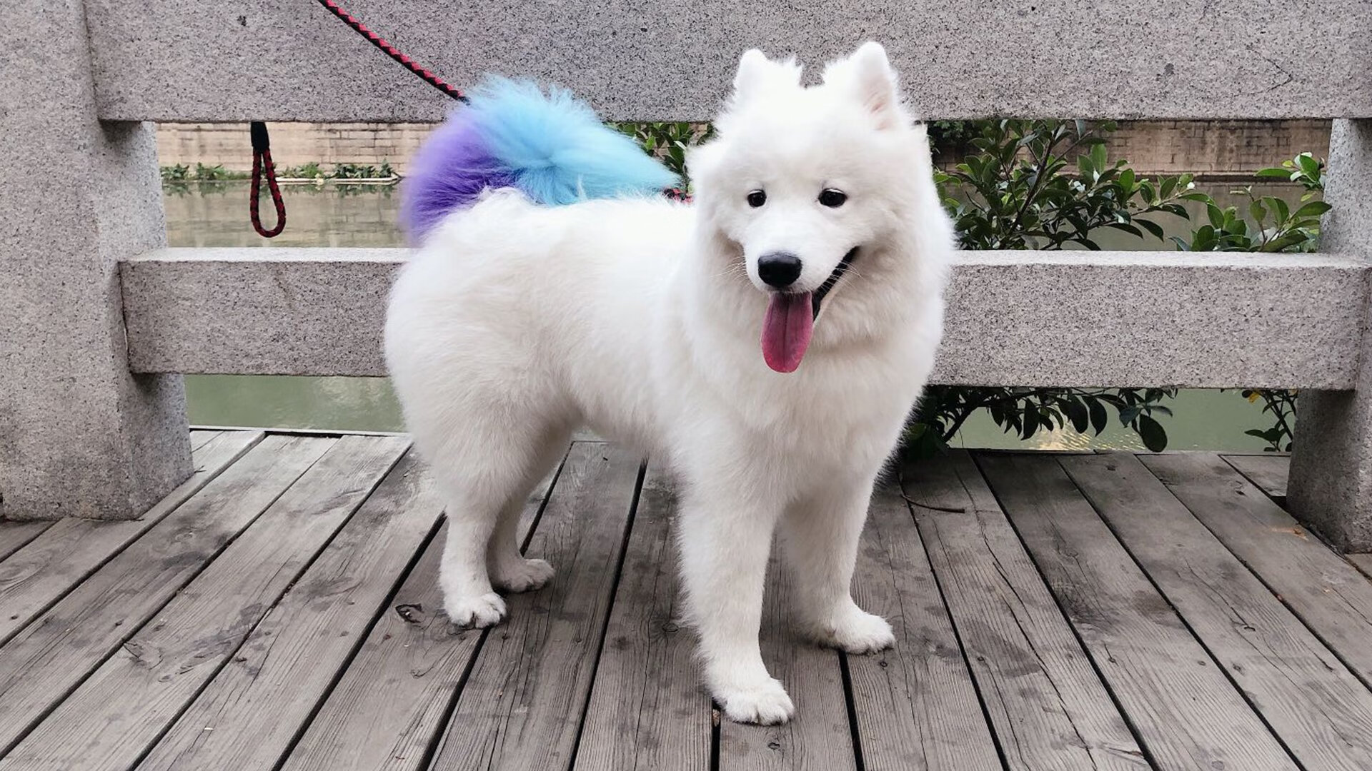 开云体育平台APP-撕裂之城的审判日，利拉德17记三分雨，浇灭丹佛高原最后烽火