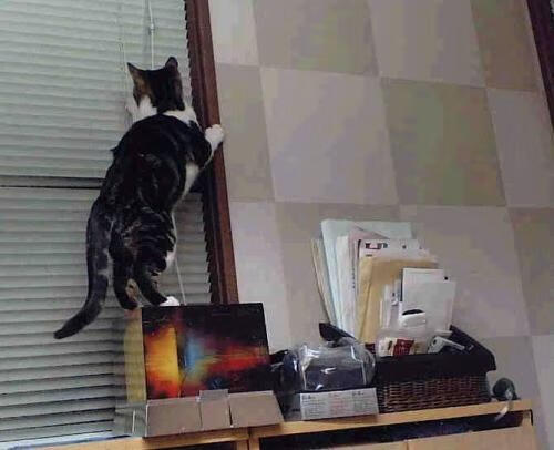 开云体育中国-惊天冷门！斯通斯戴帽主导战局，喀麦隆3-1粉碎多特蒙德