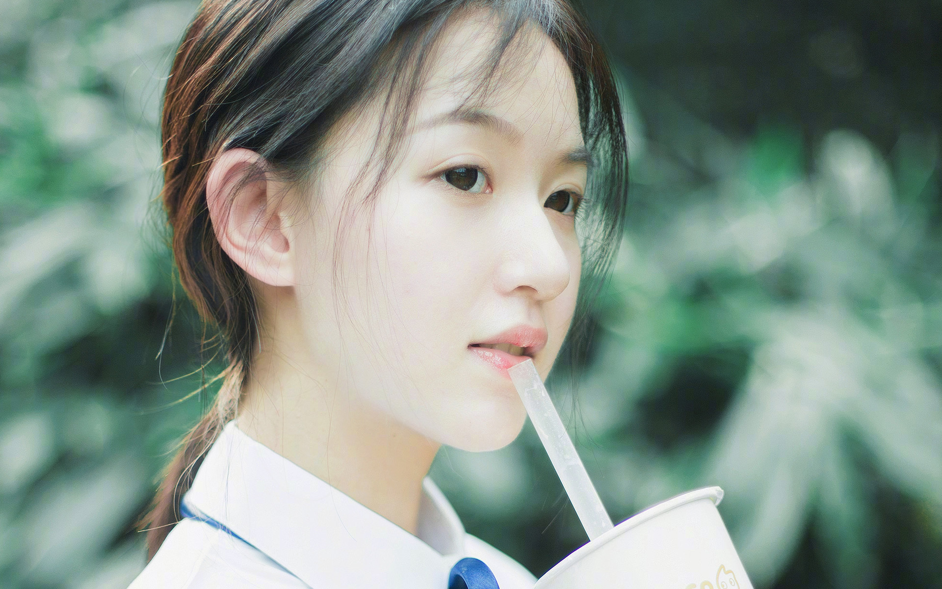 绿军风暴，铸就坚不可摧的防守，凯尔特人全面压制太阳