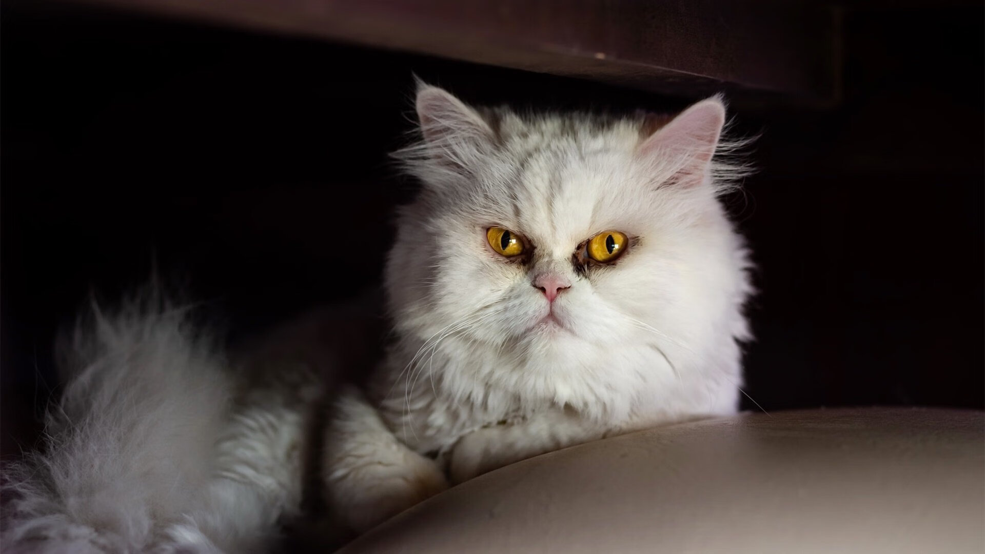 加时鏖战与赛道狂飙,热火险胜黄蜂与库里精神在F1争冠的映照