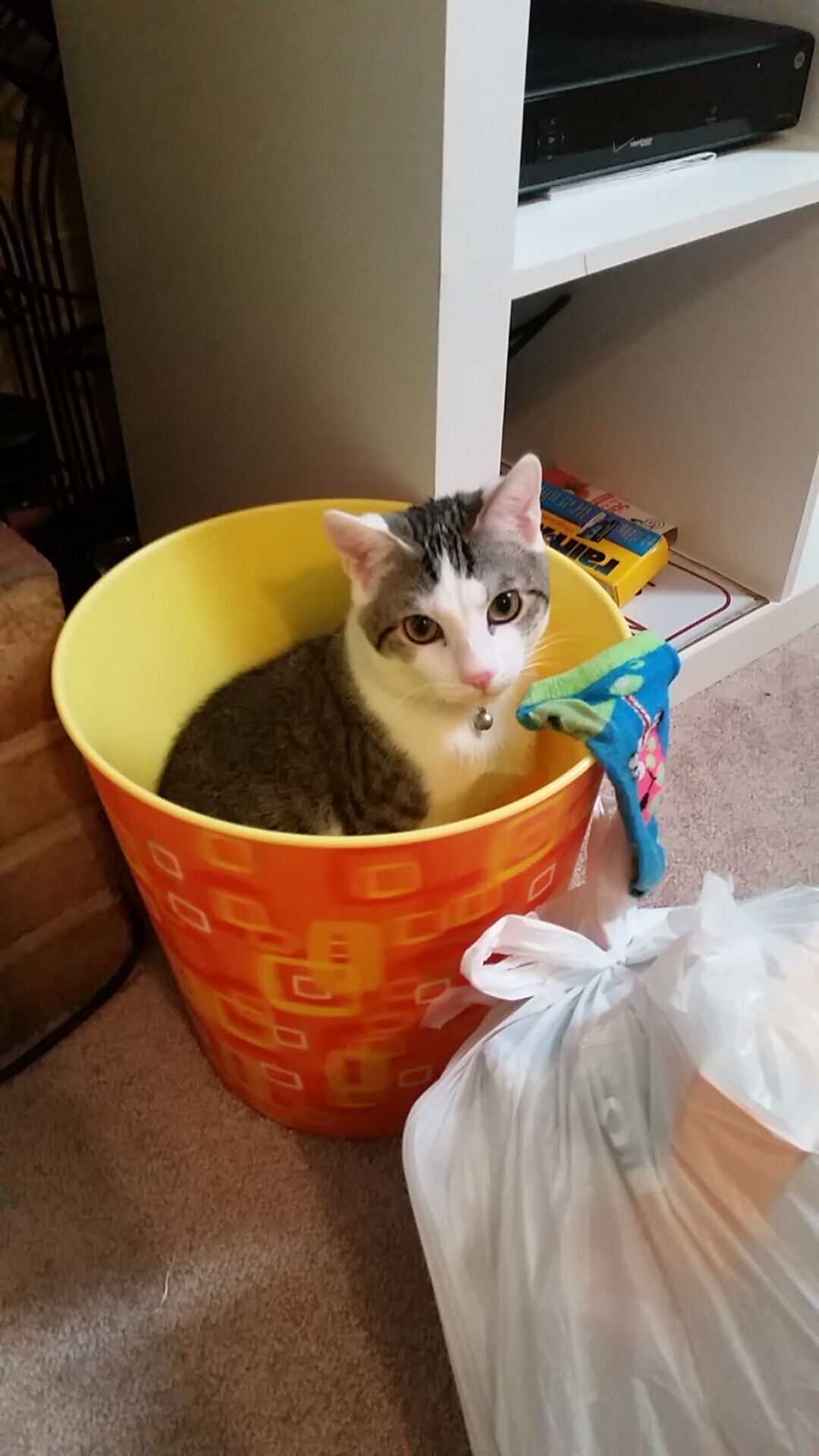 开云下载-从冰岛到摩洛哥，赖斯如何用温差思维在决赛主宰节奏