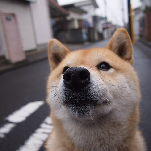 强行扭转!快船双星同步窒息尼克斯