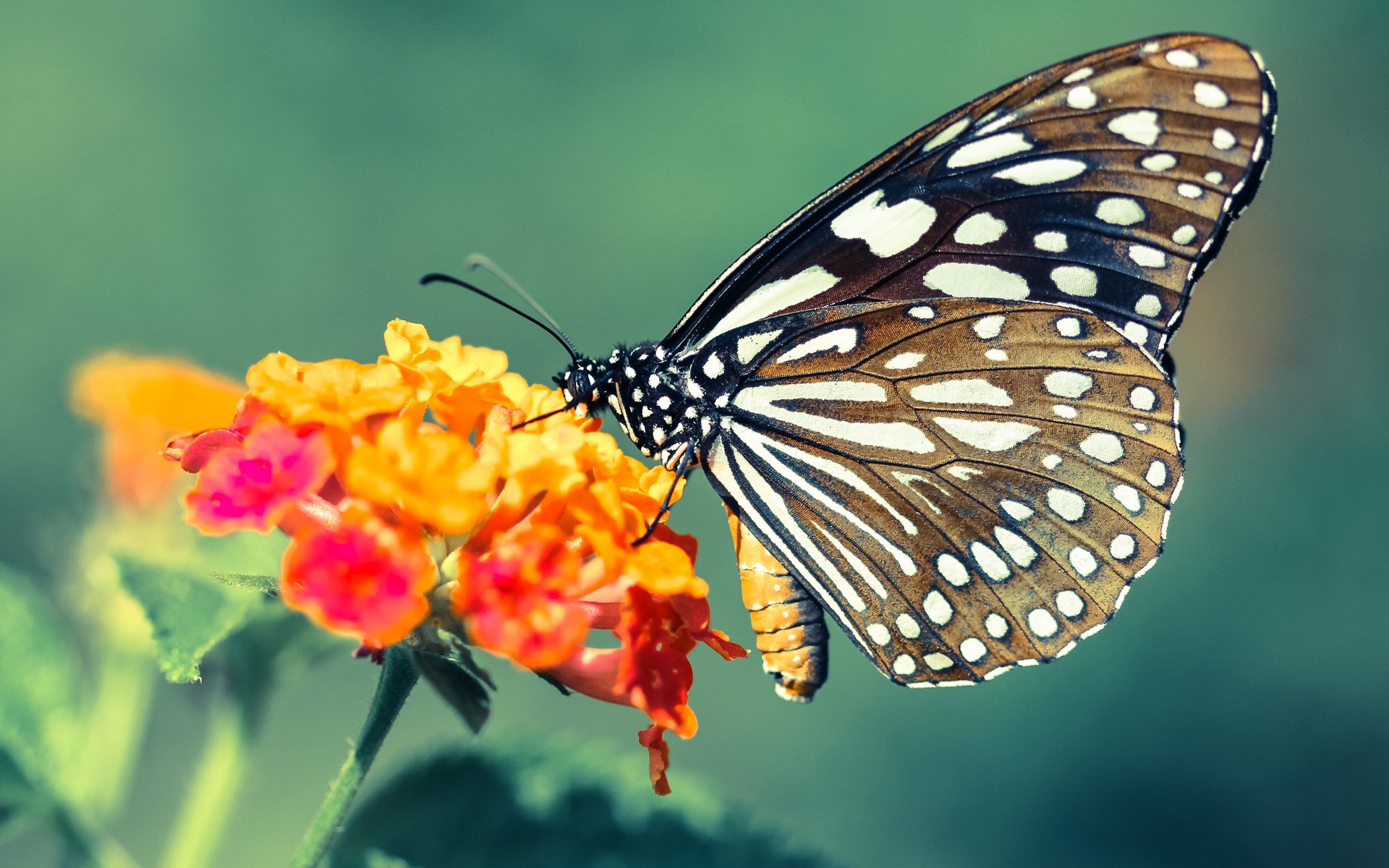 开云体育中国-上海队爆冷击溃骑士，欧文独砍38分彰显巨星价值