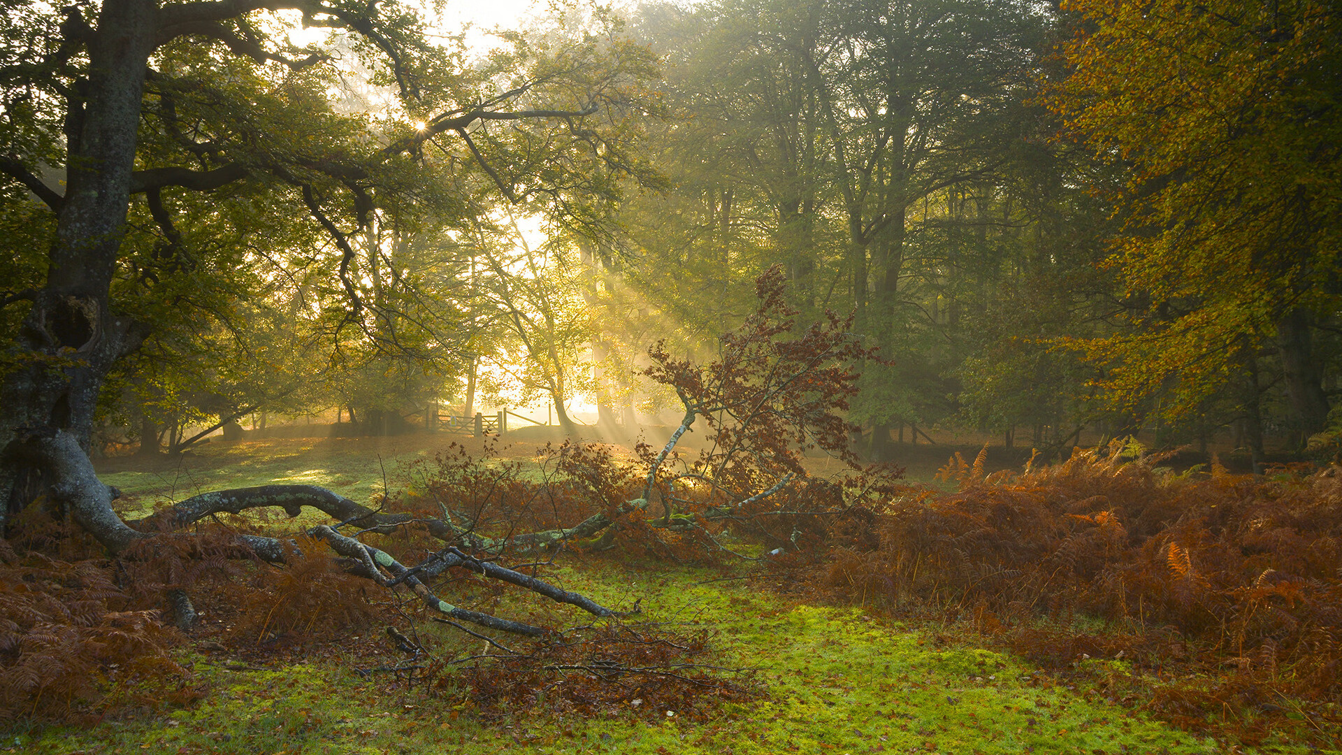 天地交响，今夜，足球的狂浪与篮球的星辰共震