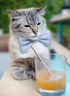 制胜秘诀,浓眉关键表现引领雄鹿力克国王