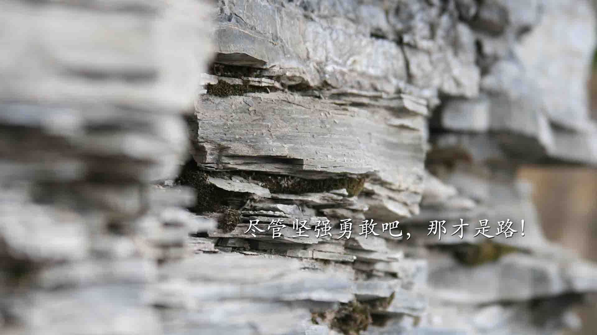 开云体育官方网站-鏖战圣城！欧文加时关键先生，湖人险胜马刺