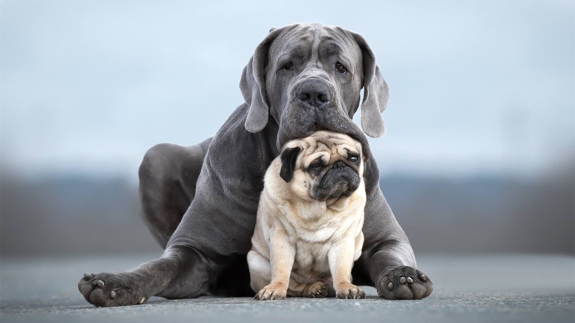 开云官网-逆风的方向，更适合飞翔，世界排名争夺战之夜，欧文用实力撕裂质疑