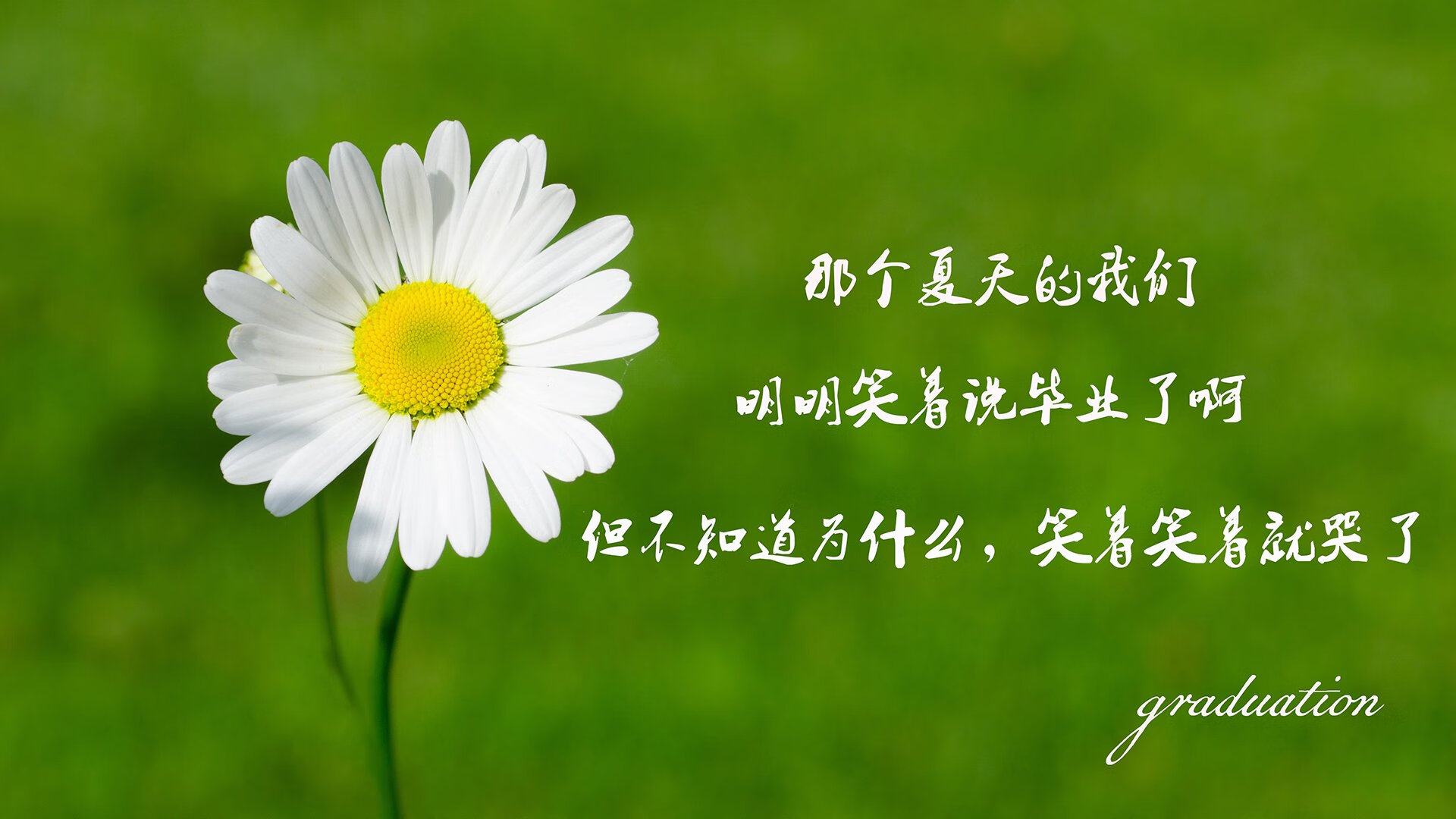 2026世界杯淘汰赛焦点战，奥地利奇阵压制葡萄牙，萨卡独舞引领冷门之夜