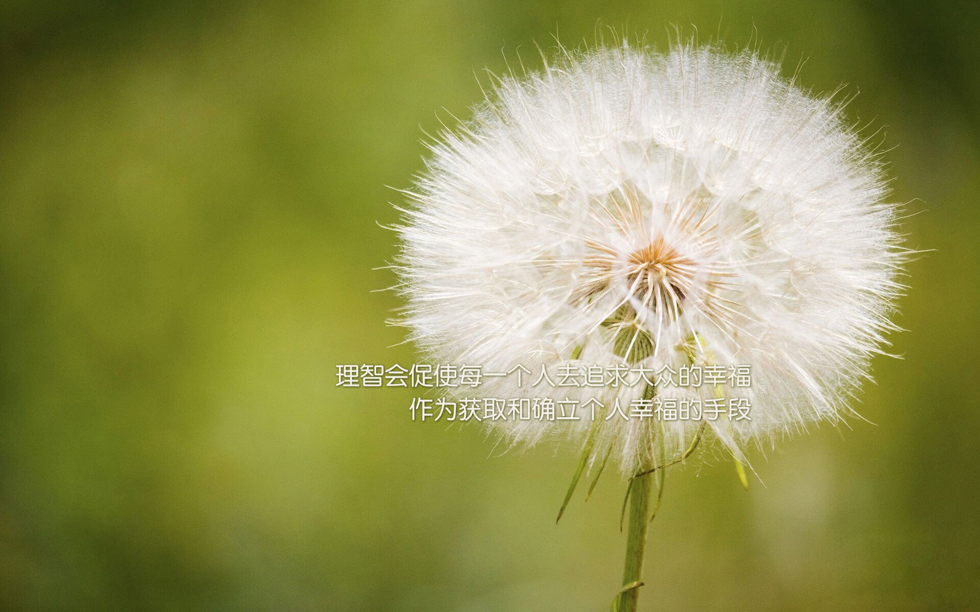 开云体育中国-沙漠风暴席卷东南亚，布罗佐维奇导演卡塔尔狂胜越南，2026世界杯A组格局骤变