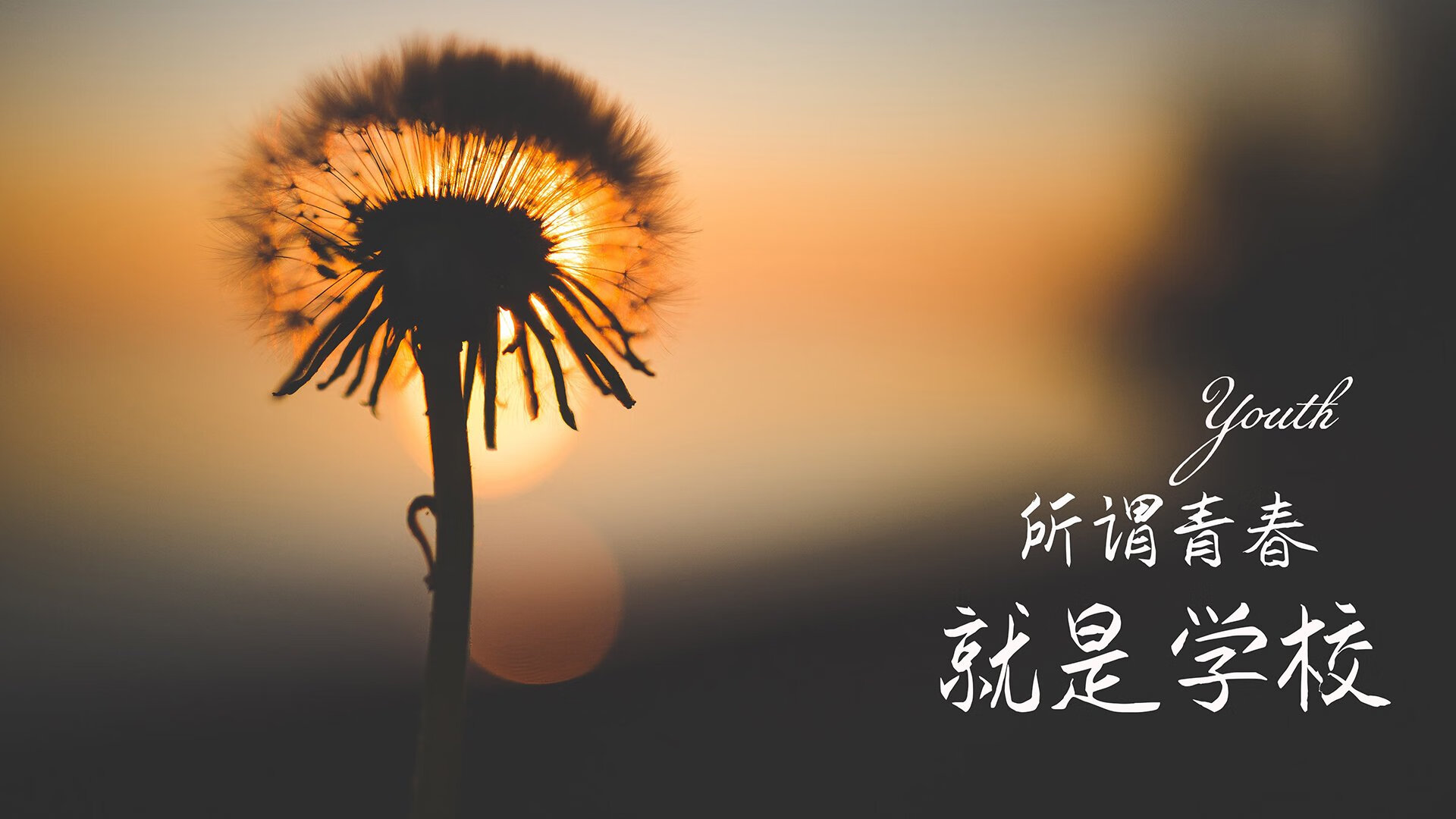 开云APP-沙漠风暴席卷郁金香，2026世界杯B组，沙特碾压荷兰，维尼修斯独舞惊艳世界